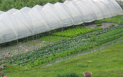 Azienda Agricola Roberto Gostner